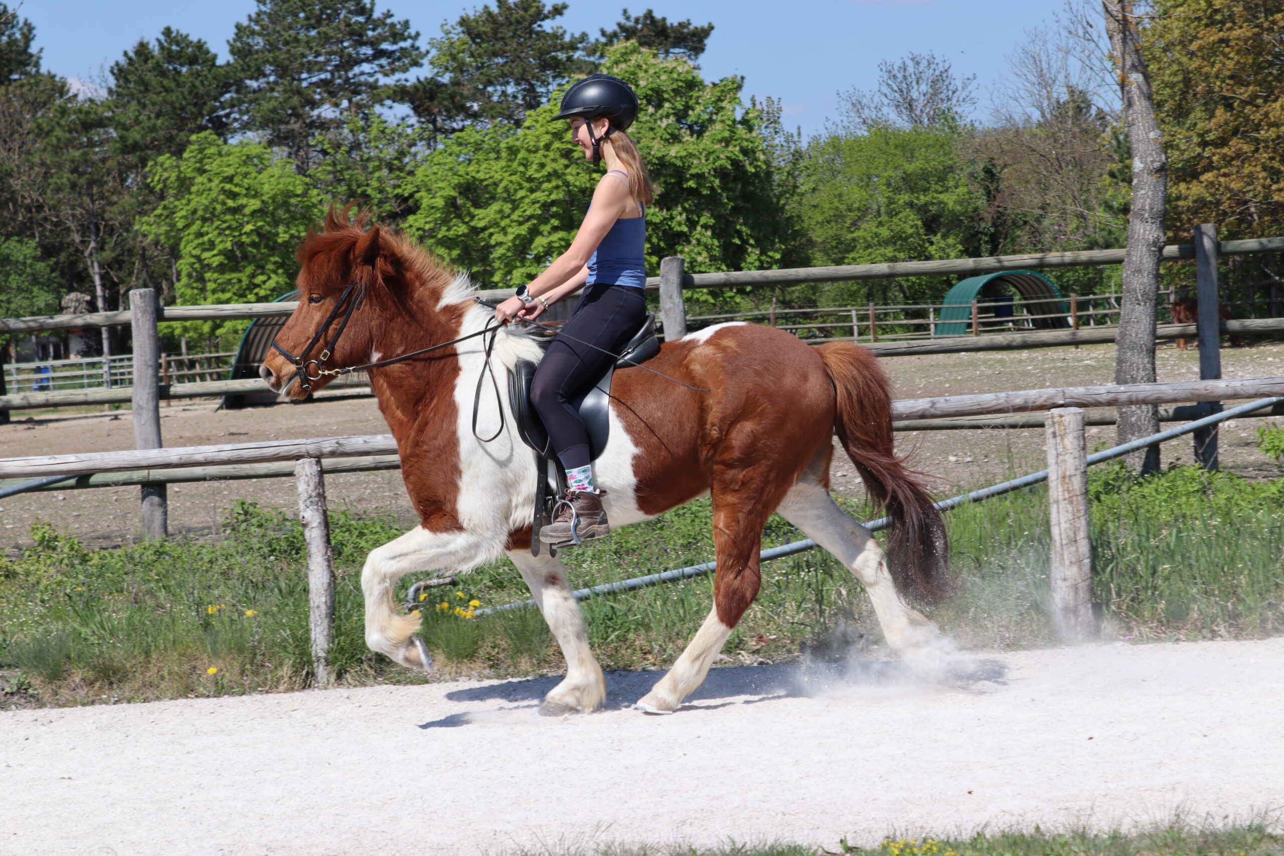 Fortgeschrittenen Kurs im Herbst