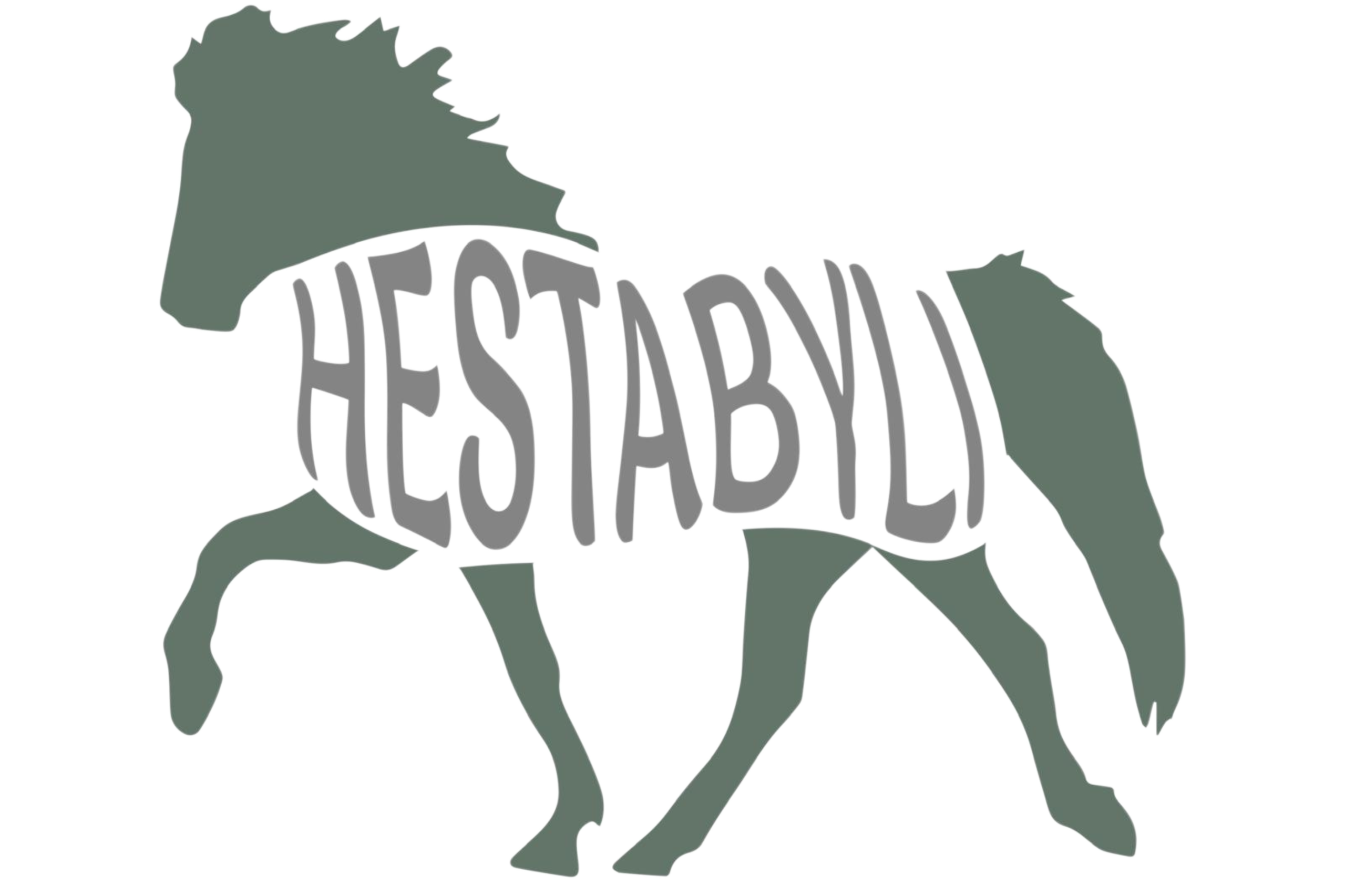 Islandpferdeverein Hestabyli
